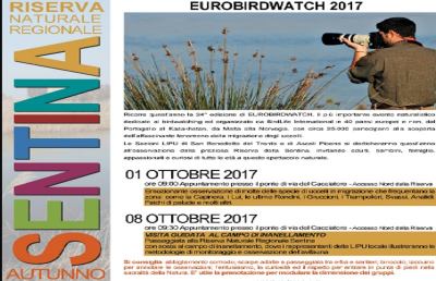  Riserva Sentina, due domeniche all'insegna del birdwatching