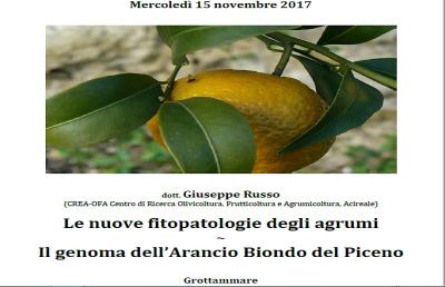 Grottammare: ''Agrumi e scienza'', incontro per valorizzazione le agrumiere storiche 