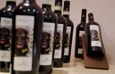 ''Cantine aperte a Natale'', ricco programma di eventi ad Offida