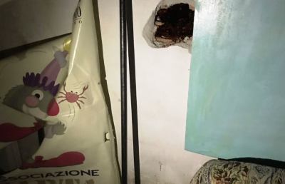 Carnevale San Benedetto, nuovi furti nella sede dell'Associazione Cartapesta