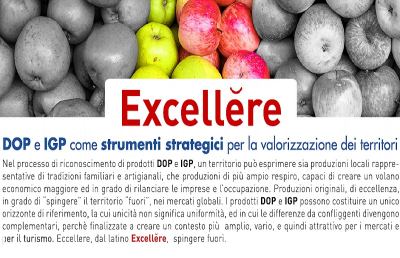 Confindustria Ascoli, convegno “Excellere: DOP e IGP come strumenti strategici per valorizzazione territori”
