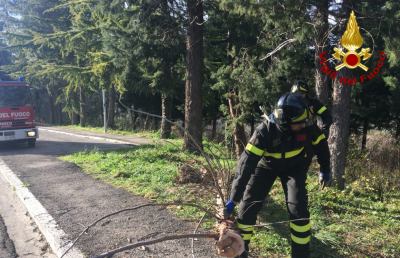 Ascoli Piceno, numerosi interventi dei Vigili del Fuoco per il forte vento