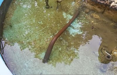 San Benedetto, ancora atti di vandalismo: preso di mira parco di Viale Pasqualetti
