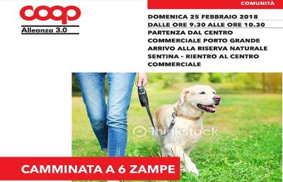 San Benedetto del Tronto, il 25 Febbraio la ''Camminata a 6 zampe''