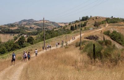 Mangialonga Picena 2018, mille sapori nel piatto e nel calice tra i vigneti di Offida