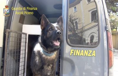 Guardia di Finanza, a San Benedetto progetto ''Educazione alla legalità economica''