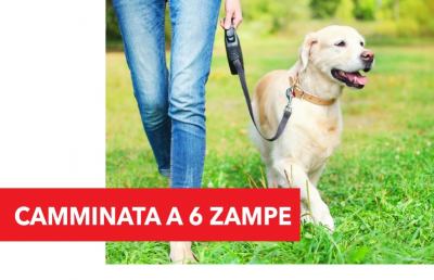 Ascoli, a ''Città delle Stelle'' nuovo appuntamento con “Camminata a 6 zampe”