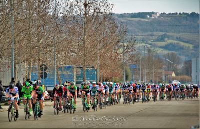 Ciclismo, Begnoni fa suo il Gran Premio dell'Industria a Civitanova Marche
