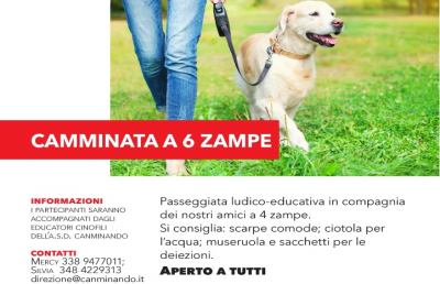 Ascoli Piceno, tutto pronto a Città delle Stelle per la ''Camminata a 6 zampe''