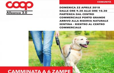 San Benedetto del Tronto, ''Camminata a 6 zampe'' al centro commerciale Porto Grande