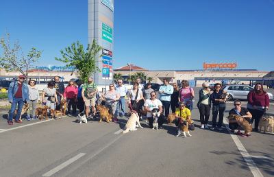 San Benedetto del Tronto, bilancio positivo per la ''Camminata a 6 zampe''
