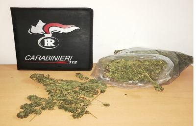 Carabinieri Ascoli Piceno, arrestato insospettabile 29enne per coltivazione marijuana
