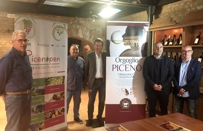 Offida: torna l’iniziativa ''Divino in vino è'', per promuovere i bianchi piceni