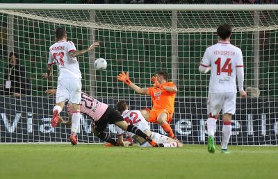 Palermo-Bari 1-1, Nenè rovina nel finale la prima di Stellone sulla panchina rosanero