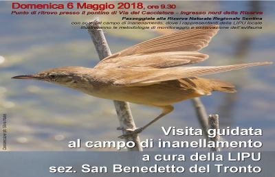 Riserva Naturale Sentina, visite guidate per osservare l'avifauna