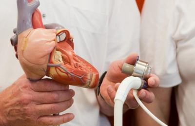 Cuore “coltivato” in laboratorio: passi avanti verso un organo artificiale di ultima generazione