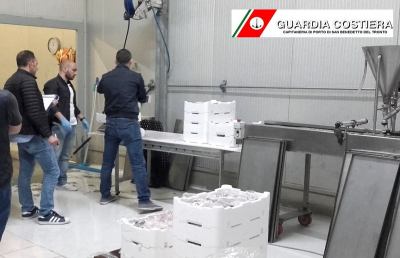 Operazione “Hidden Box” Guardia Costiera San Benedetto, sanzioni e maxi sequestro prodotti ittici