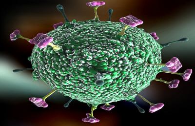 India, in Kerala forte allerta per il virus killer ''Nipah''