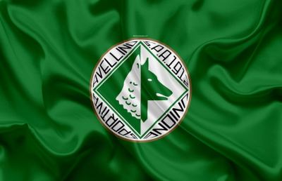 Serie B, il Consiglio Federale esclude l'Avellino dal prossimo campionato cadetto