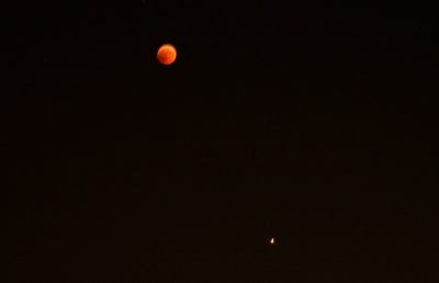 Eclissi lunare, tutti con il naso all'insù per ammirare il satellite che diventa rosso