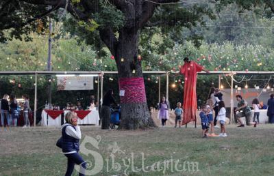 Pianoro di Colle San Marco, in un bosco incantevole rivive la magia della Sibilla