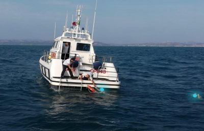 Capitaneria di Porto San Benedetto, attività di contrasto al commercio abusivo di prodotto ittico