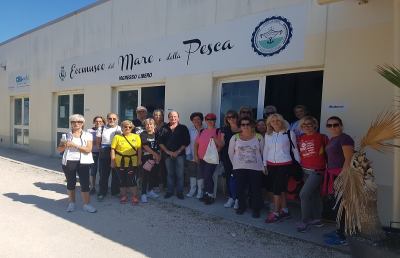 “Settimana sport sociale”: coinvolte Ascoli, San Benedetto, Monteprandone, Monsampolo, Palmiano e Venarotta