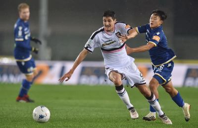 Verona-Palermo 1-1, Rajkovic replica a Di Carmine. L'Hellas non sa più vincere