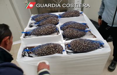 Guardia Costiera San Benedetto, terminata operazione nazionale ''Confine illegale''