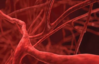 Passi in avanti nella ricerca delle malattie vascolari con i vasi sanguigni umani in laboratorio