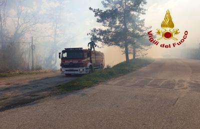 Ascoli Piceno, Vigili del Fuoco domano incendio in un bosco in località Lisciano