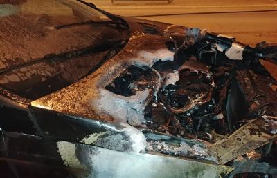 Foggia, atti intimidatori verso i Sannella e due calciatori dopo il ko nel derby col Lecce. Esonerato Padalino