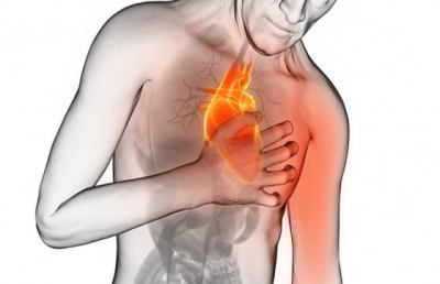Ricerca scientifica: nuovo farmaco contro gli infarti  che agisce sul tessuto danneggiato