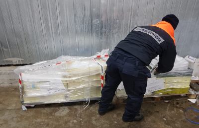 Capitaneria di Porto di San Benedetto, operazione di controllo sulla filiera della pesca