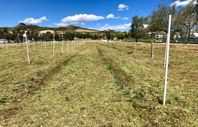 Progetto Ciclismo Piceno, Agraria in Festa a Porto d’Ascoli con la mountain bike e l’abilità