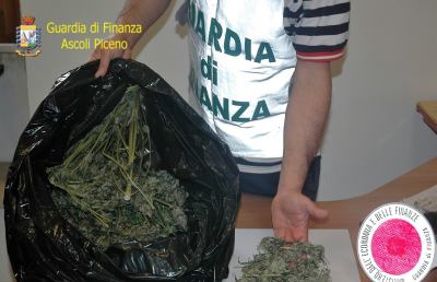 Guardia di Finanza Ascoli: denunciato 37enne e sequestrati 626 grammi di marijuana