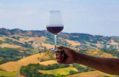Mille sfumature di Marche alla Mangialonga Picena con il Consorzio Vini Piceni