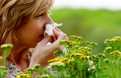 Farmaci contro l'allergia, quali sono e come utilizzarli 