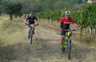 Mountain bike, successo per la sesta edizione della cicloturistica Wine Bike