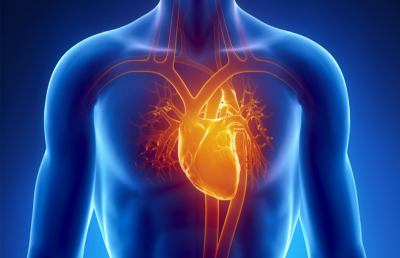 San Benedetto: ''Banca del cuore'', protagonista della prevenzione cardiovascolare