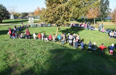 Legambiente Marche, torna l'appuntamento con la ''Festa dell'albero''