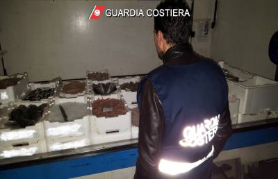 Guardia Costiera, conclusa complessa operazione da Gabicce a San Benedetto. Multe e sequestri