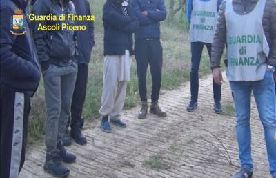 Operazione ''Campi Elusi'' della Finanza di Ascoli contro il “Caporalato”, 4 denunce