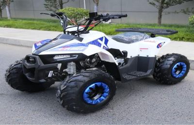 Mini quad per i bambini, cosa serve sapere prima di comprarlo