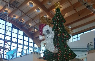 Ascoli Piceno, al “Città delle Stelle” Epifania con la ''Favola di Befana''
