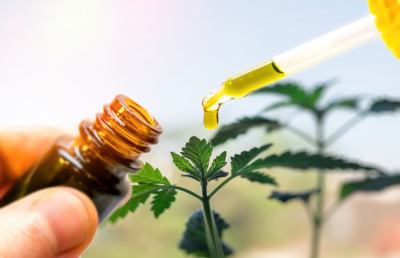 Quello che forse non sai sul CBD e sulla cannabis