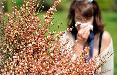 Assosalute, una stagione un po' più lieve per le allergie