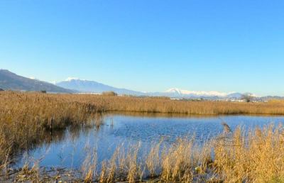 San Benedetto: Sentina,  durante la fase 2 ''Osserva la Natura – Raccogli i rifiuti''