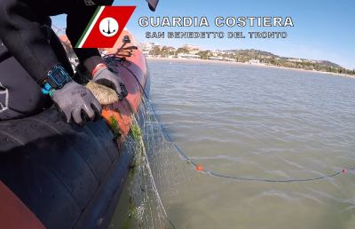 Guardia Costiera San Benedetto, sequestrati 17 chili di vongole e 100 metri di rete da posta