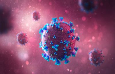Studio Istituto Superiore di Sanità, le zanzare non trasmettono il Coronavirus